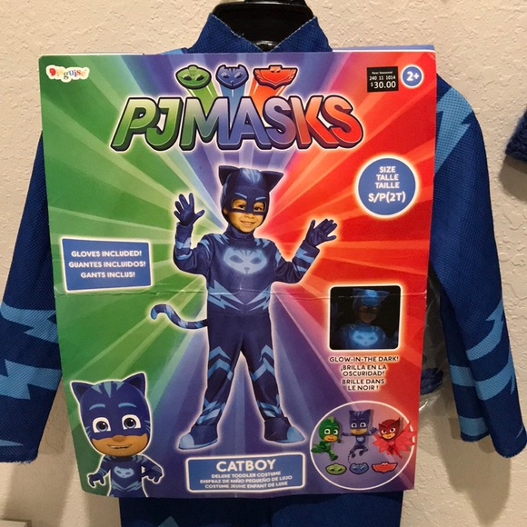 Costumes Pj Masks Cat Boy Costume 2t Poshmark